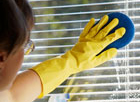 Cleaning projects in USA