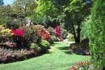 Home Landscape Design projects in Riddlesburg, Pennsylvania