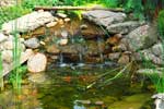 Garden Ponds And Water Garden projects in 55113, Minnesota